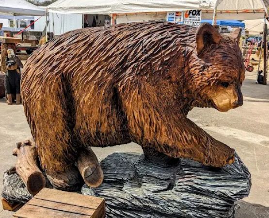 Ridgway Mills Campsites