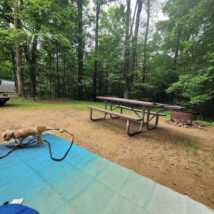 Red Bridge Campground 5