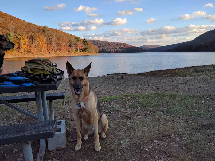 Morrison Campground 5