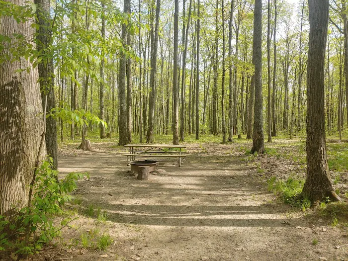 Tracy Ridge Campground 3