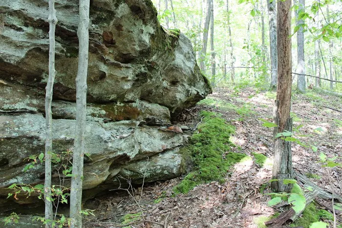 Tracy Ridge Campground 4