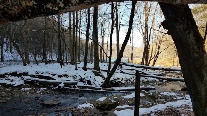 Tracy Ridge Campground 8