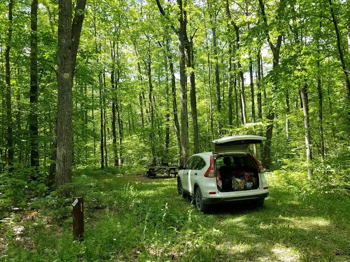 Tracy Ridge Campground 6