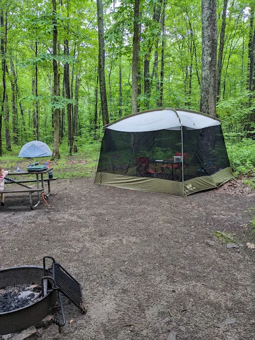 Tracy Ridge Campground 1