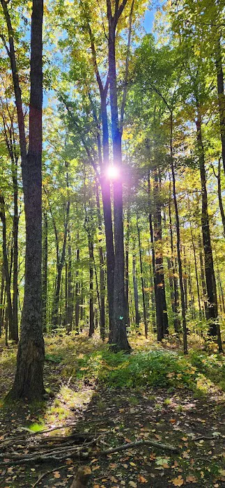 Tracy Ridge Campground 9