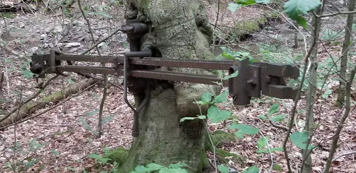 Pine Grove Campground 3