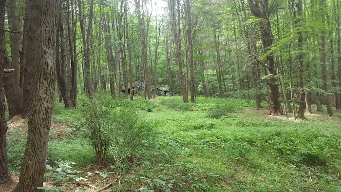 Pine Grove Campground 5