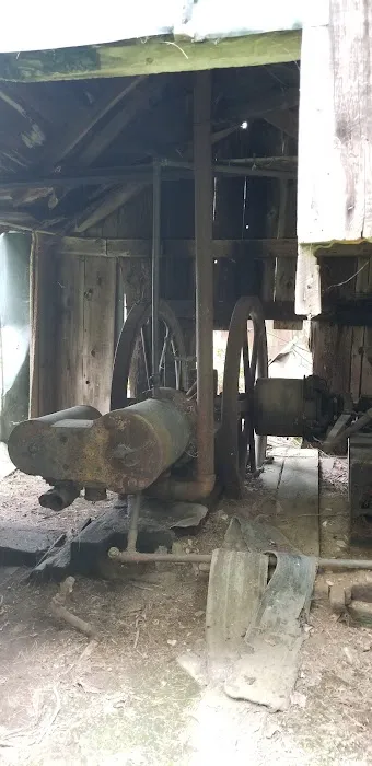 Pine Grove Campground 7