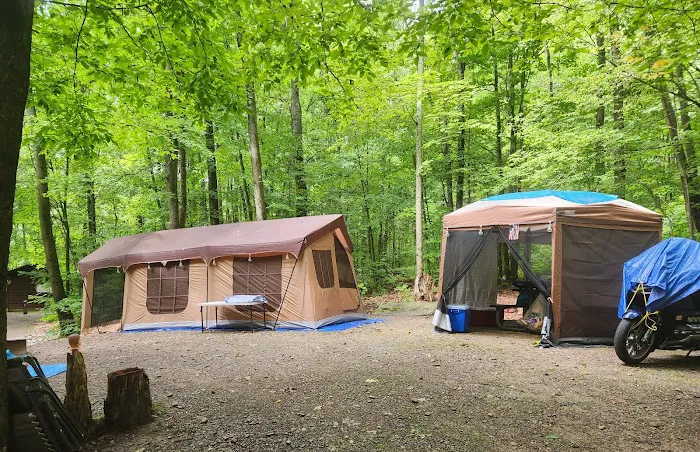 Dewdrop Campground 6