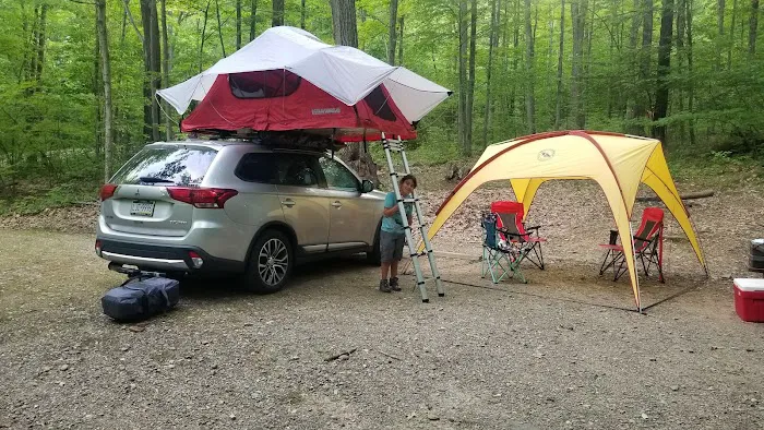 Dewdrop Campground 1