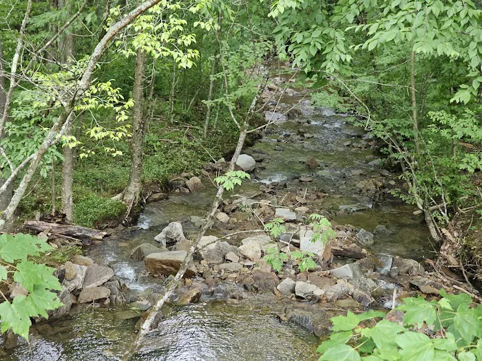 Dewdrop Campground 0