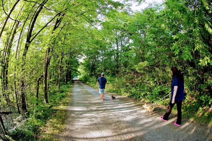 Dewdrop Campground 3