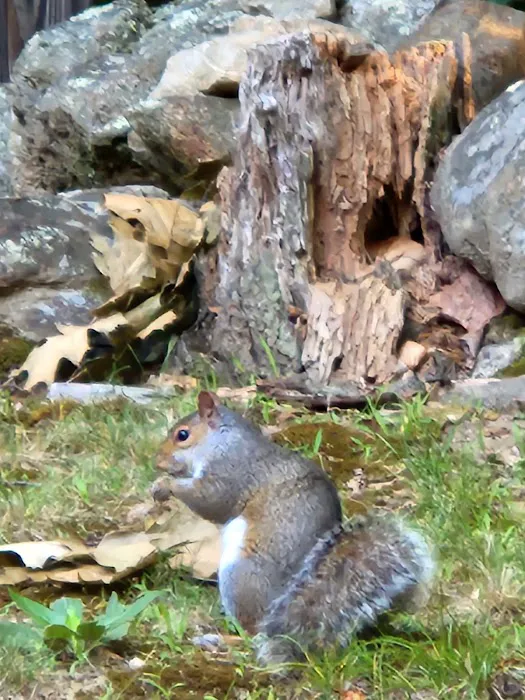 All Seasons Campground 5