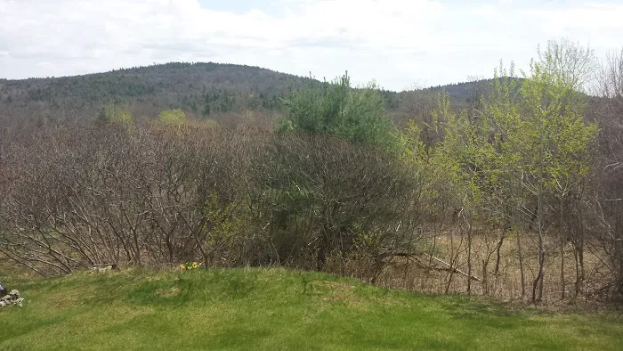 All Seasons Campground 0