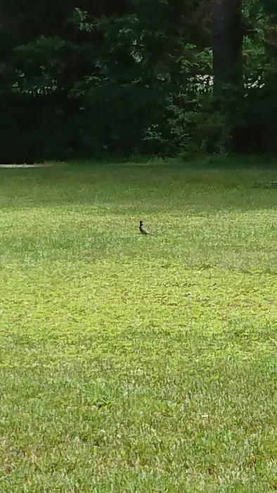 Tippicanoe Campground 2