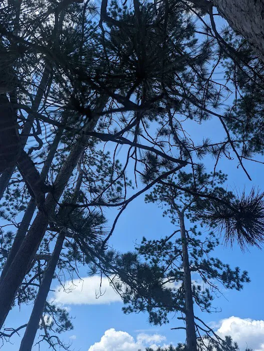 Lake Massasecum Park & Campground 7