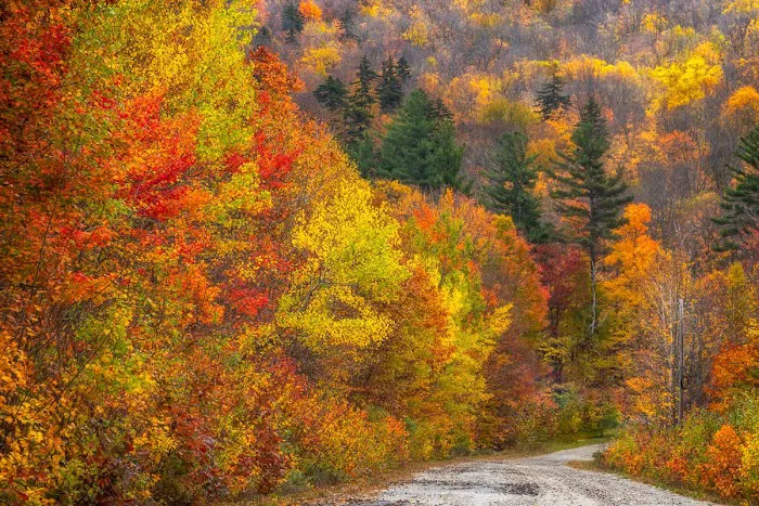 Mt Sunapee State Park Campground 7