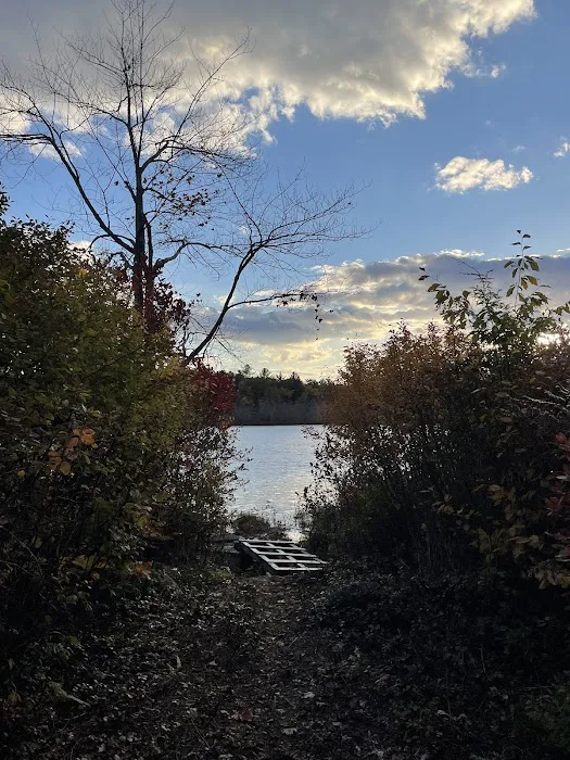 Rock'n'birch Campground 4