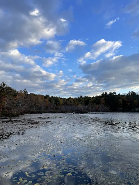 Rock'n'birch Campground 2