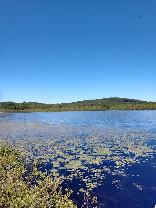 Rock'n'birch Campground 9