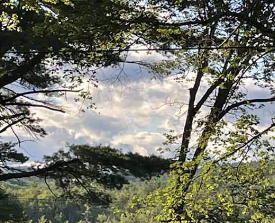 Rock'n'birch Campground