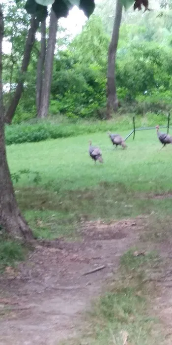 Portsmouth Camp Meeting 3