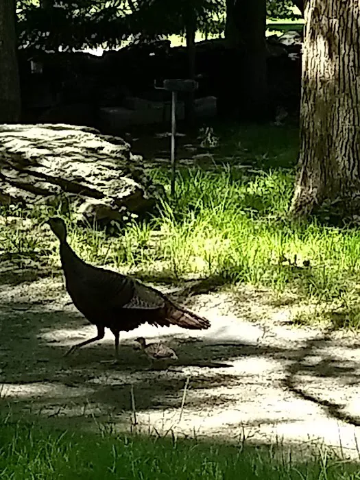 Portsmouth Camp Meeting 0