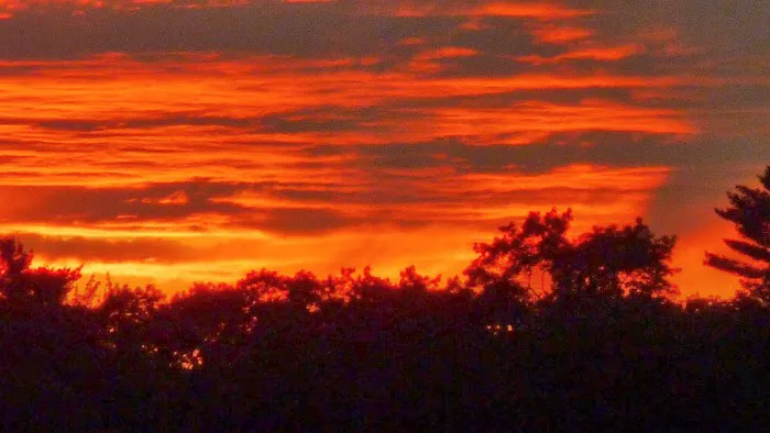 Berry's Grove Campground 0