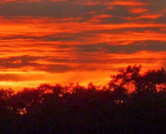 Berry's Grove Campground