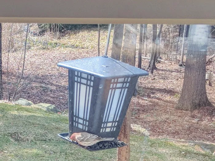 Medvil Cooperative 0