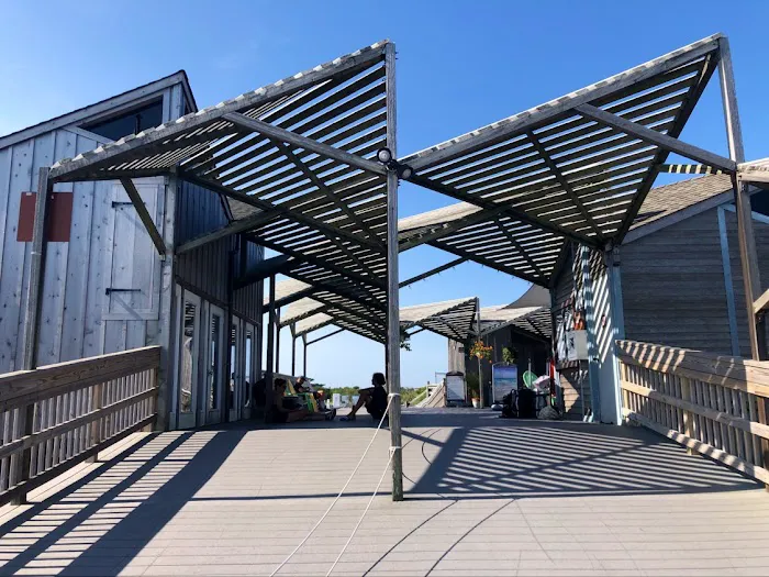 Watch Hill Fire Island Campground & Safari Tent Glamping 8