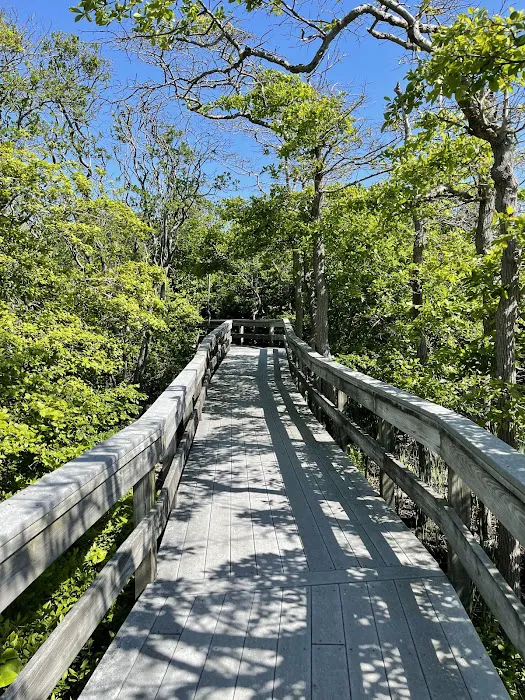 Watch Hill Fire Island Campground & Safari Tent Glamping 9