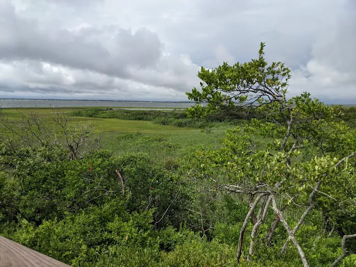 Watch Hill Fire Island Campground & Safari Tent Glamping 6