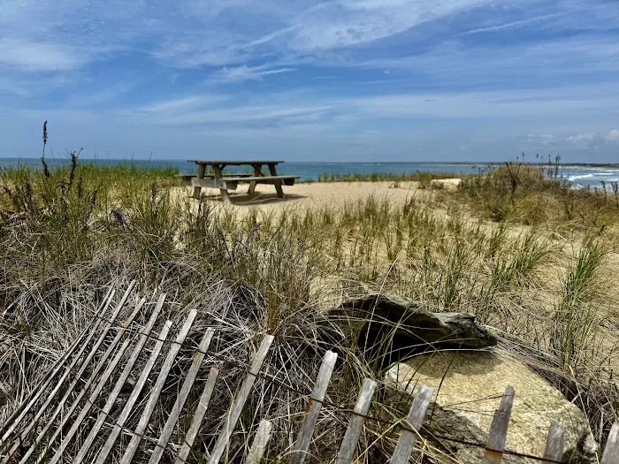 Horseneck Beach State Reservation Campground 3