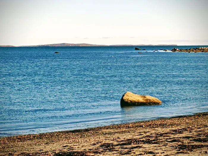 Horseneck Beach State Reservation Campground 2