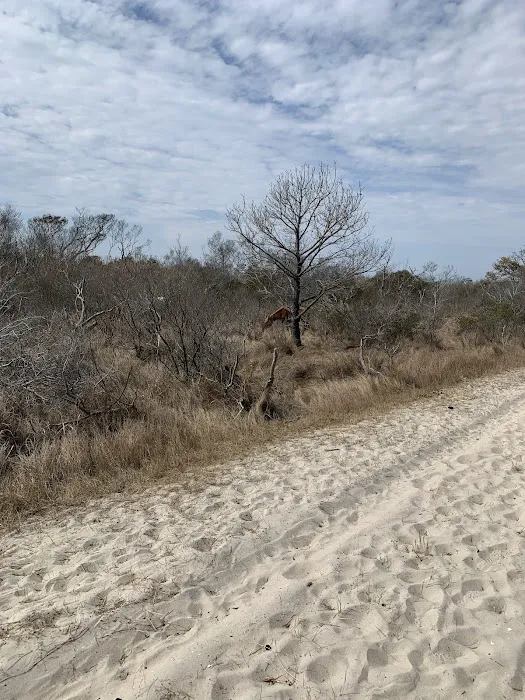 Little Levels Campground 5