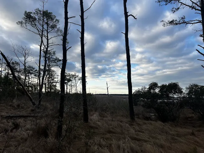 TIngles Island Camp, Assateague National Park 6