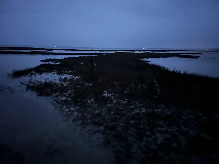 TIngles Island Camp, Assateague National Park 9