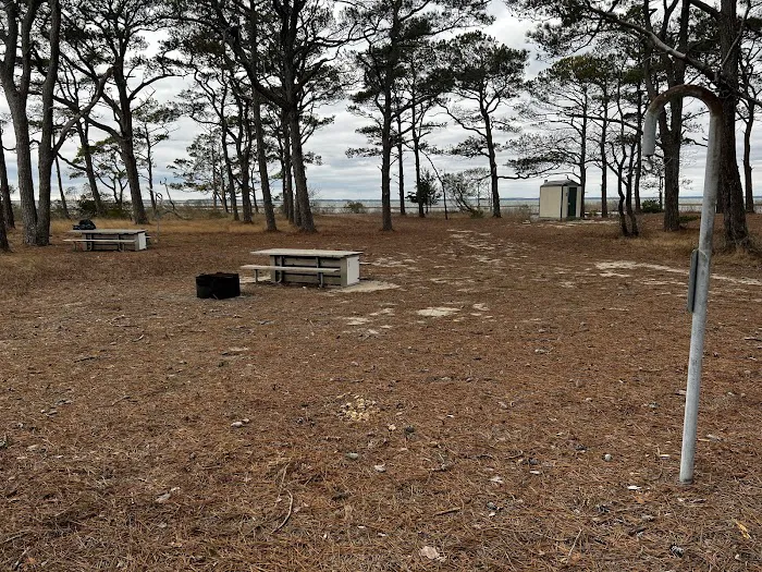TIngles Island Camp, Assateague National Park 2