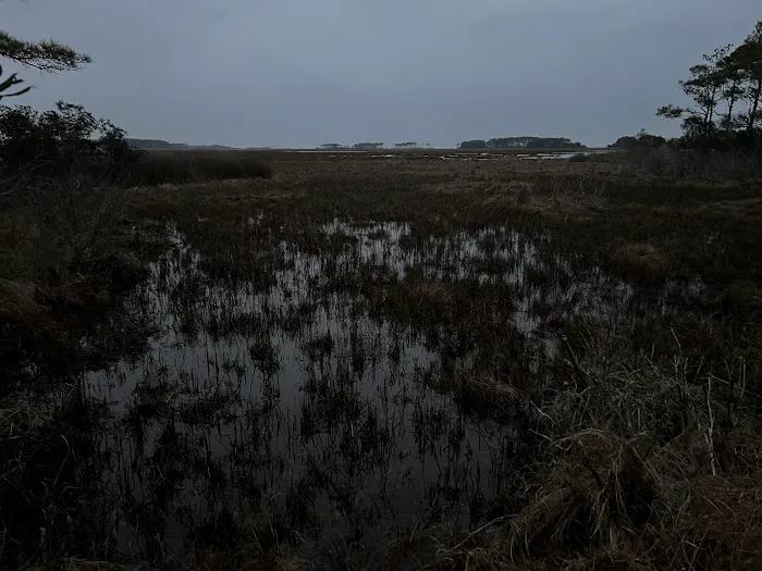 TIngles Island Camp, Assateague National Park 4