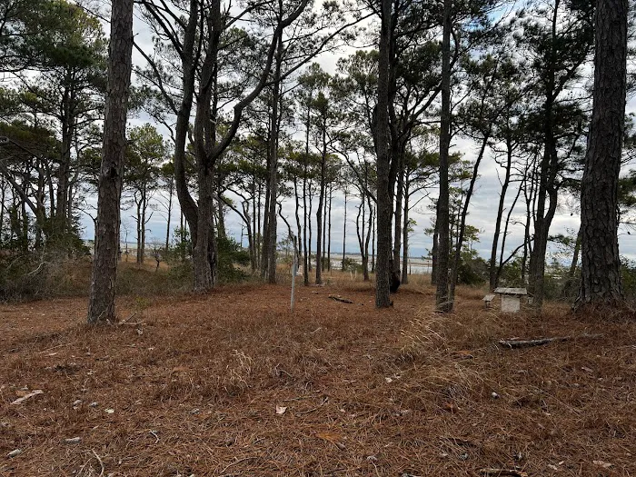 TIngles Island Camp, Assateague National Park 1