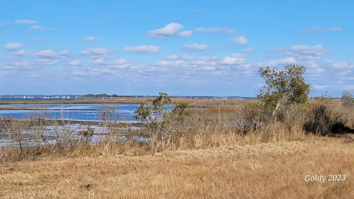 TIngles Island Camp, Assateague National Park 8