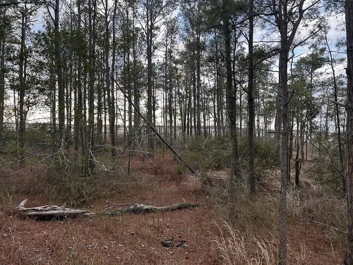 TIngles Island Camp, Assateague National Park 3