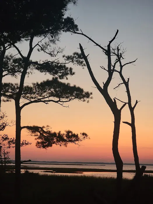 Back Country Camping-Tingles Island Campground 0