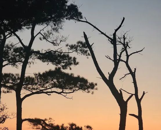 Back Country Camping-Tingles Island Campground