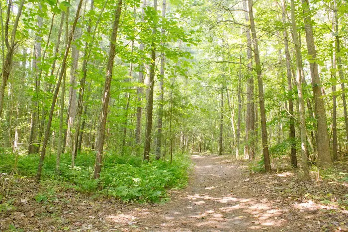 Thousand Trails Chesapeake Bay 9