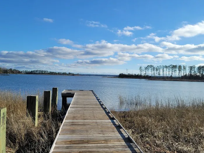 Machicomoco State Park Campground 5