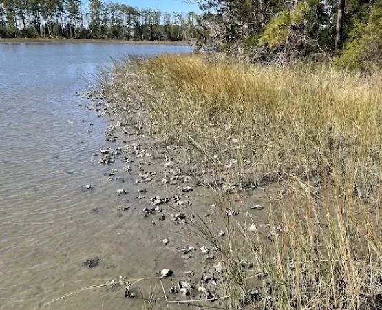 Machicomoco State Park Campground