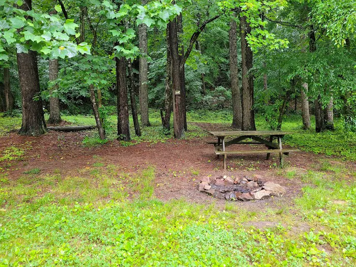 Rappahannock River Campground 7