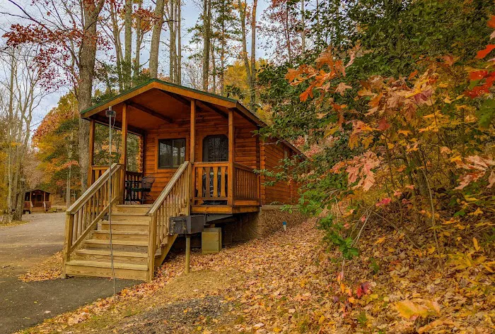 Wilderness Presidential Resort 8